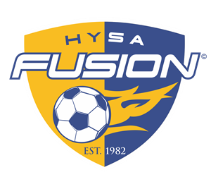 Fusion Car Decal Image