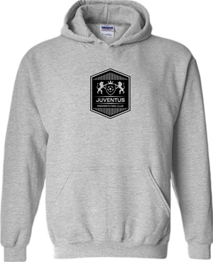 Hoodie - Grey Image