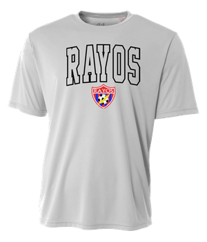 Dri-Fit Tee - Silver Image